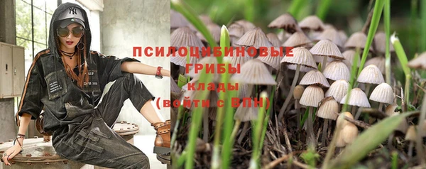 ПСИЛОЦИБИНОВЫЕ ГРИБЫ Алексин