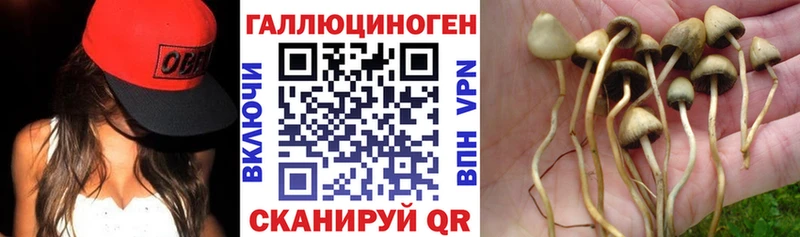 нарко площадка телеграм  Опочка  Псилоцибиновые грибы мухоморы  наркота 
